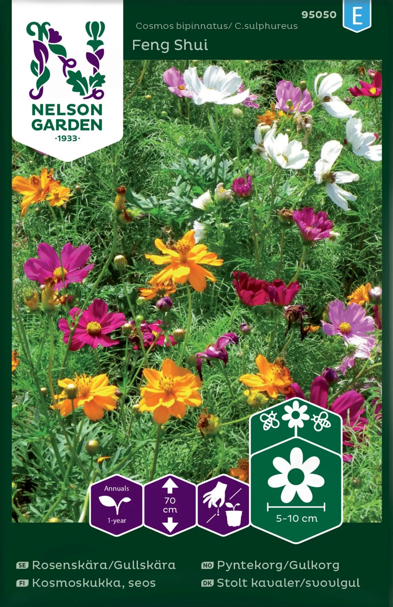 Cosmos -mix 'Feng 'Shui'