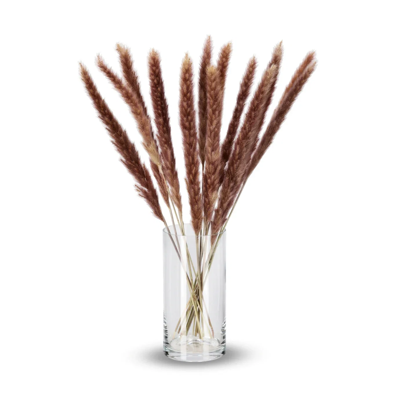 Pampas