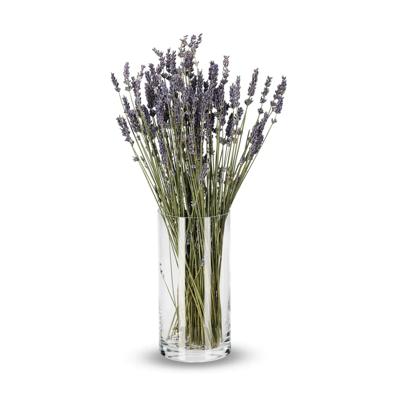 Lavendel
