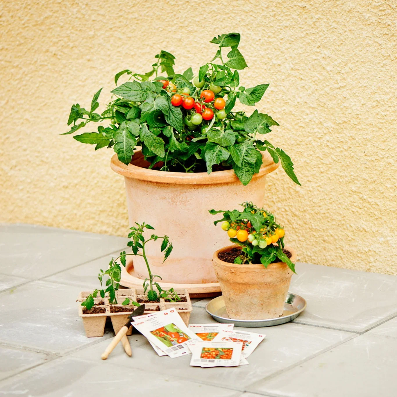 Mini Transplanting Set 3 Pcs