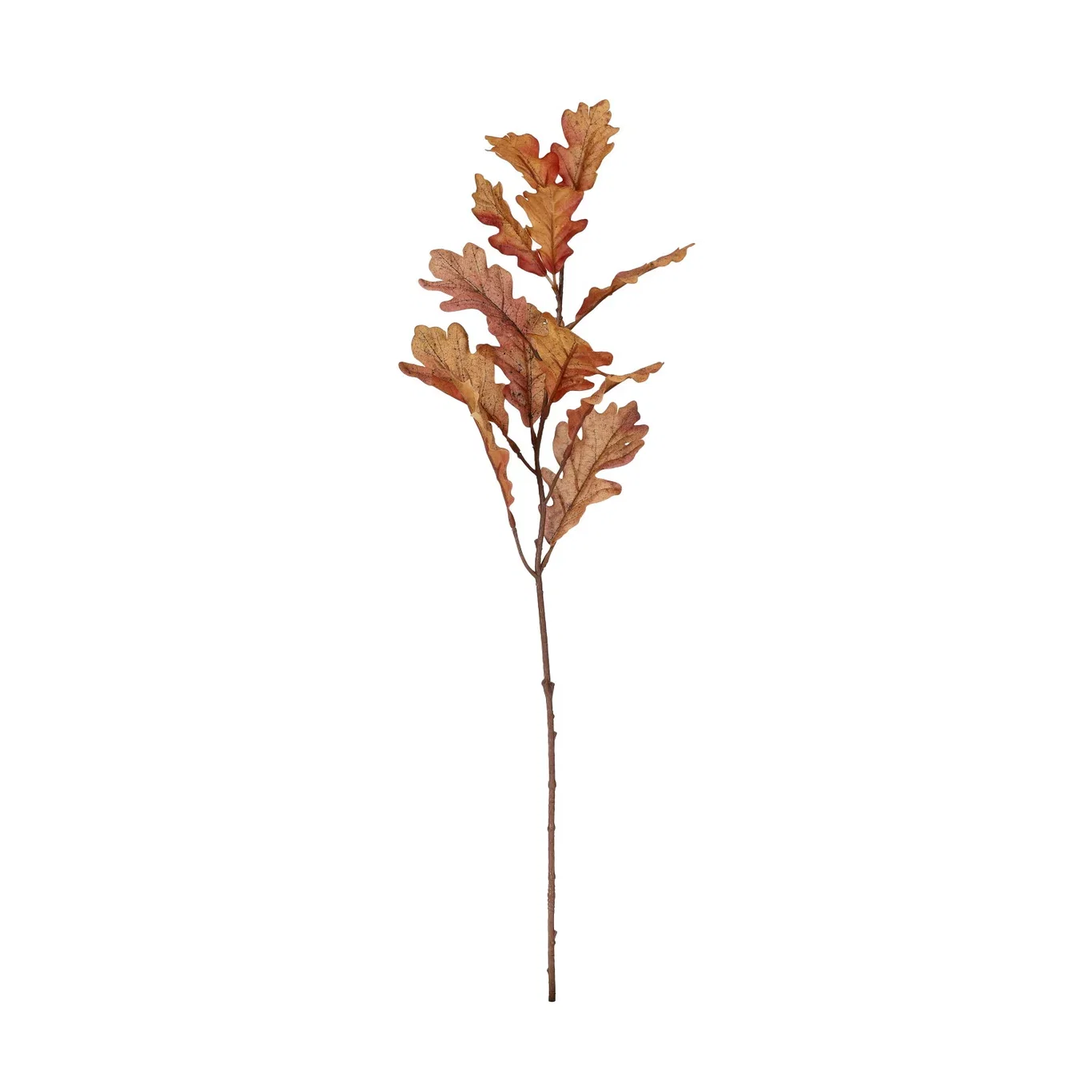 Leaf branch H66 orange