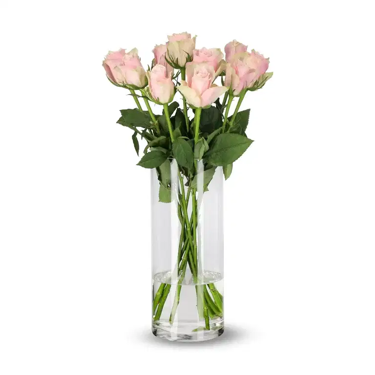 Rosa Mix 10 pk 50 cm