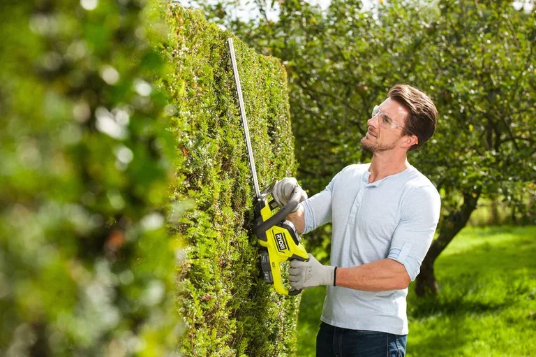 Hedge Trimmer RHT184520