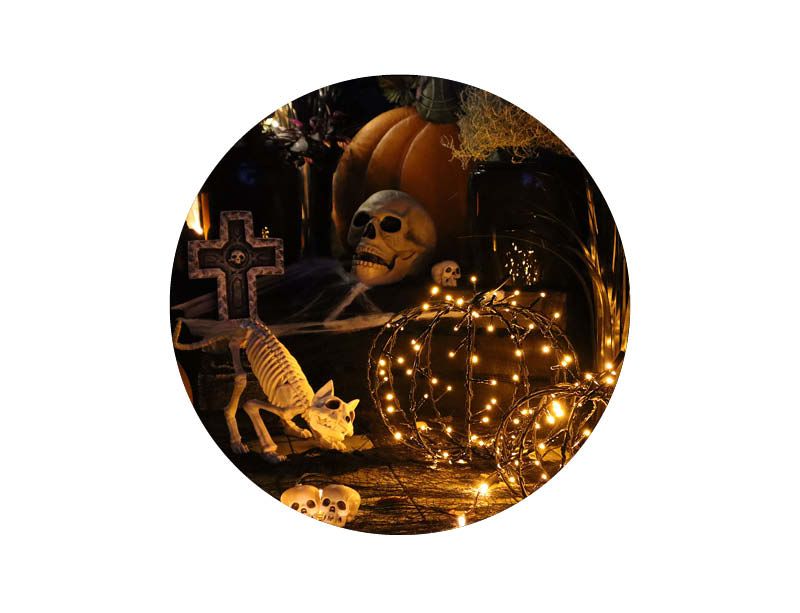 Image of Halloween