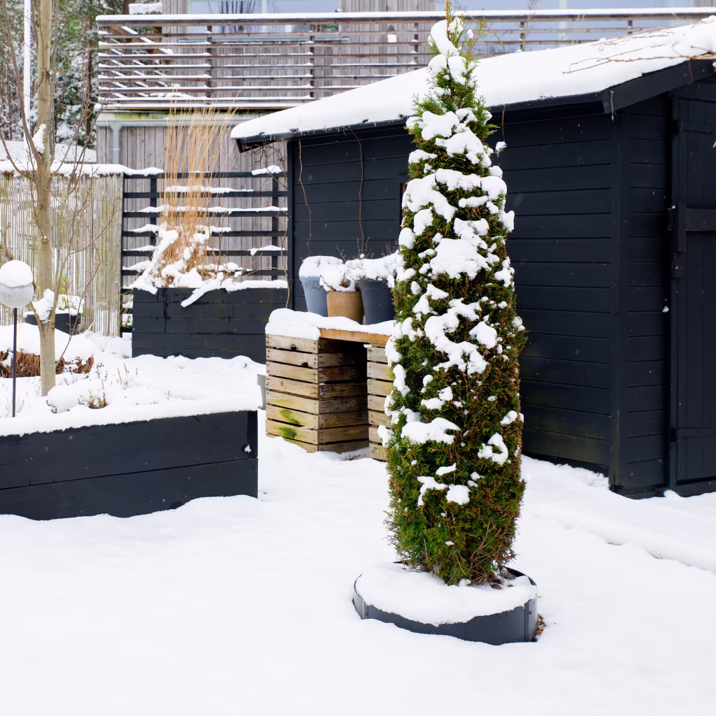 Hagebesøk: Stramme linjer mot myk snø hos Sylvia i Larkollen