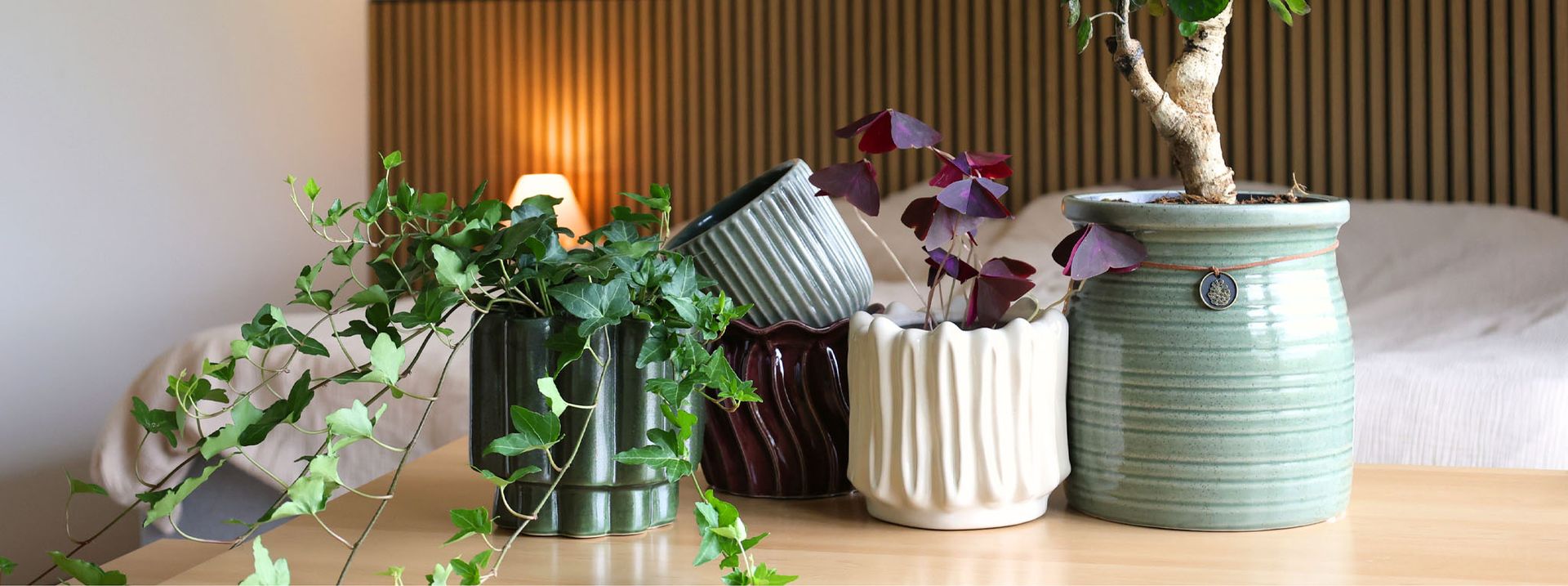 This is an image illustration of Terracotta pots in every size and shape