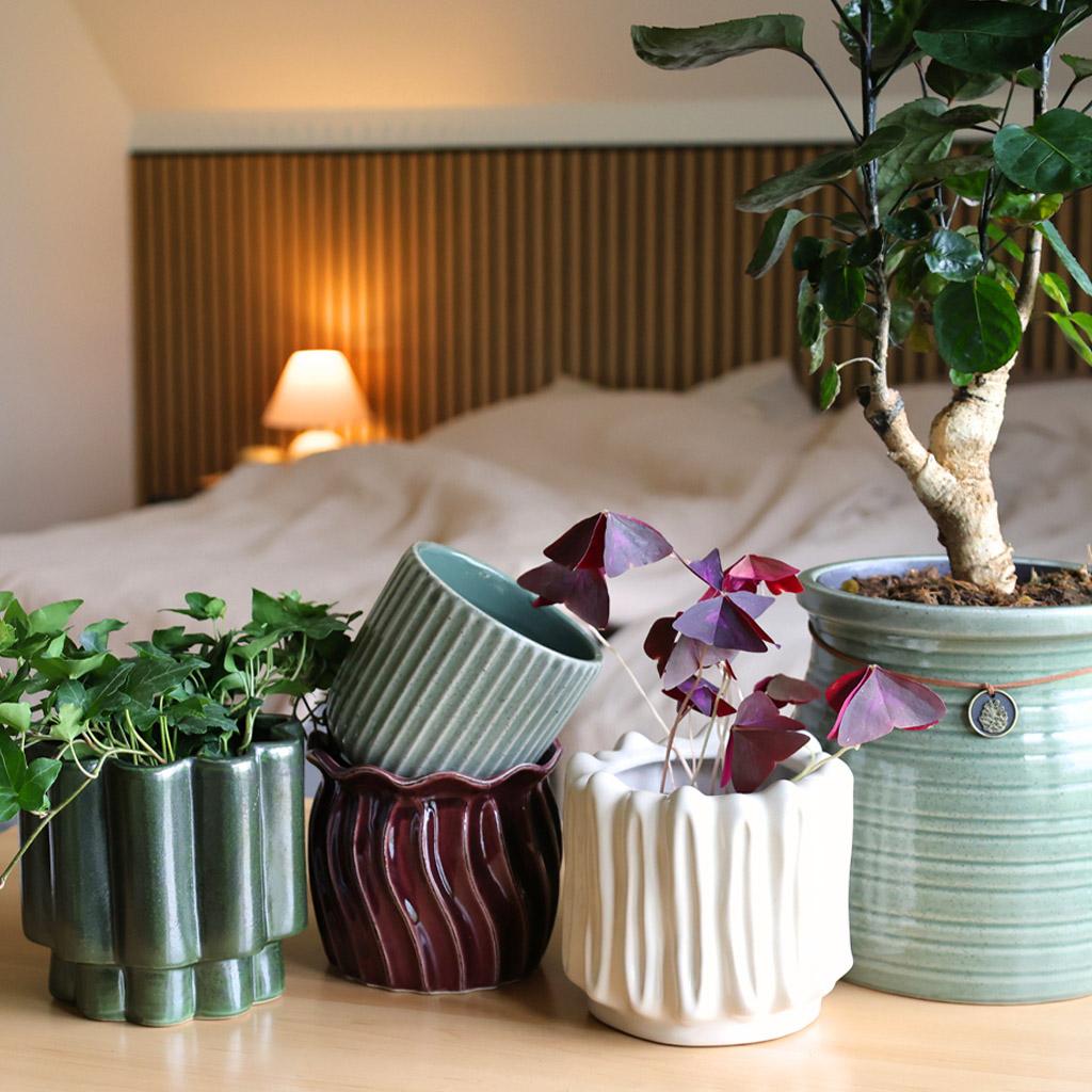 Terracotta pots in every size and shape