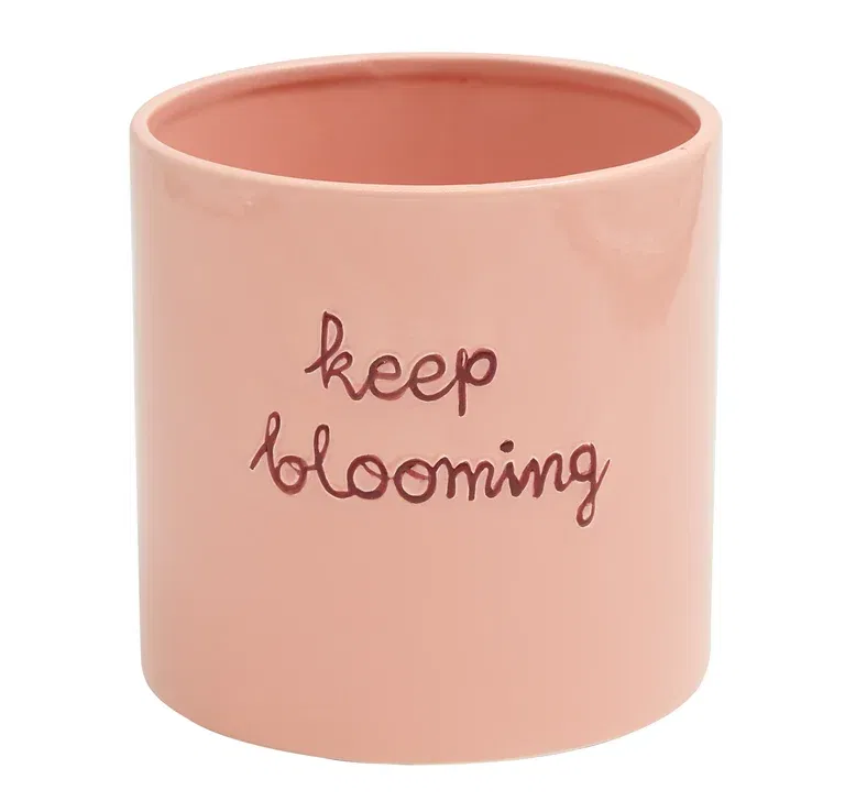 Potte Keep blooming