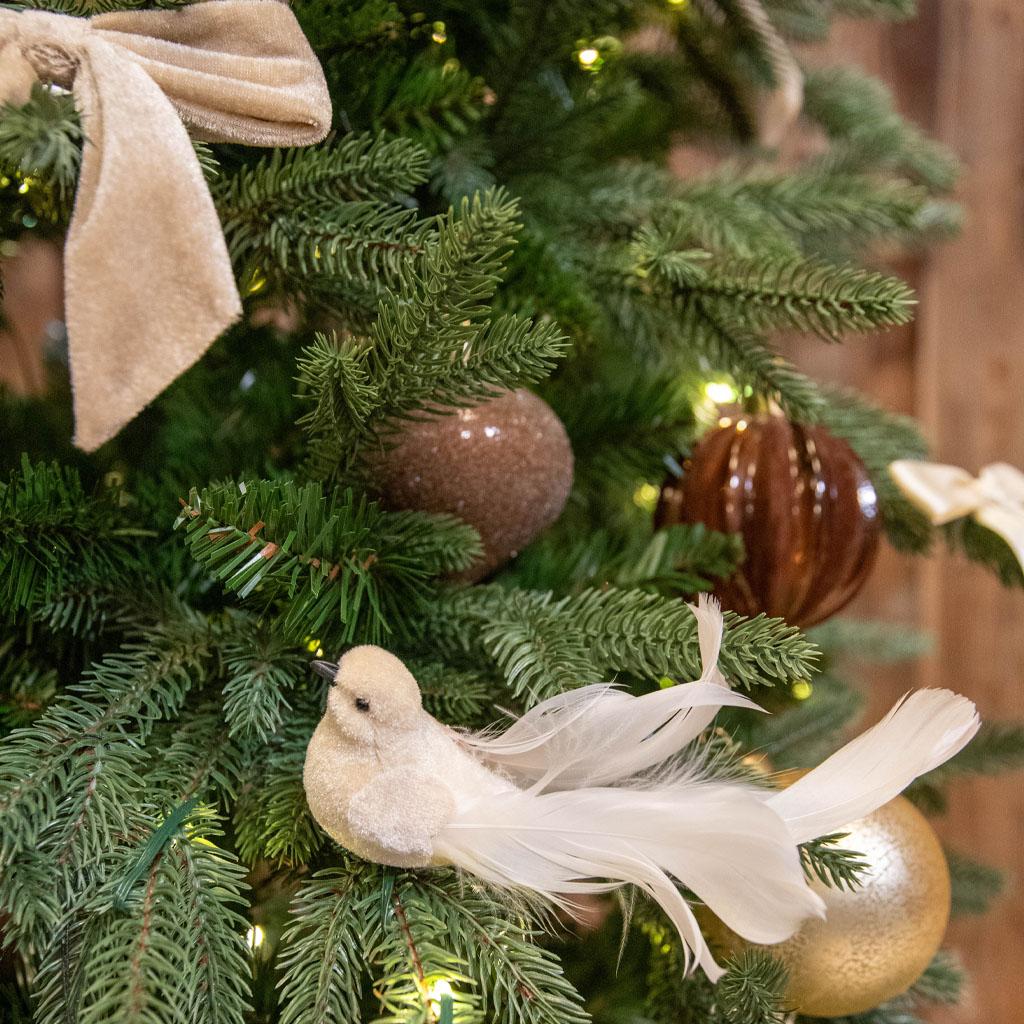 Dette er en bildeillustrasjon av 🪶