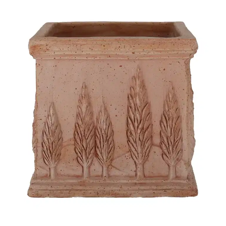 Cipressi pot 24x24 terracotta
