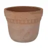 product variant