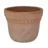 Potte Verona