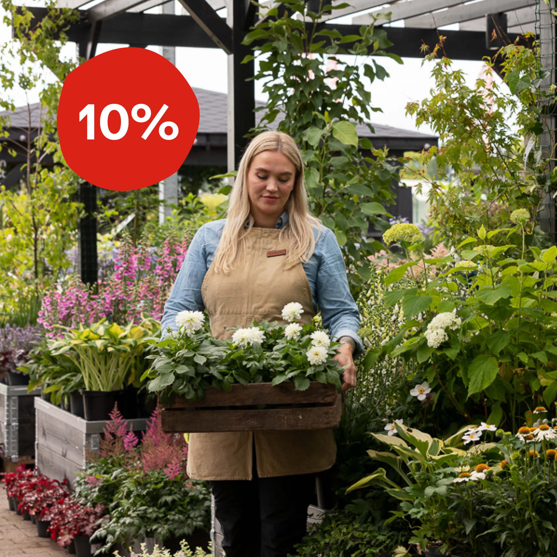 Dette er en bildeillustrasjon av Bli bedriftskunde hos oss!