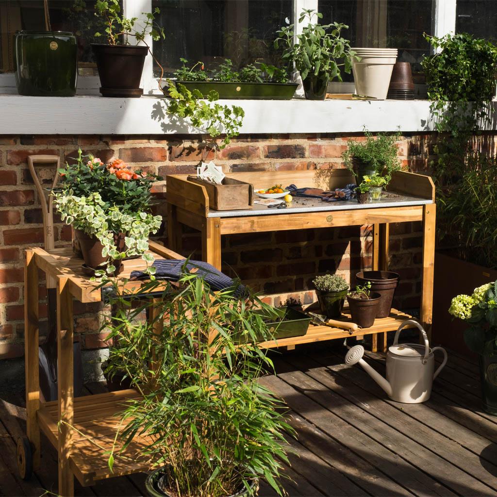 Dette er en bildeillustrasjon av King & Caroline