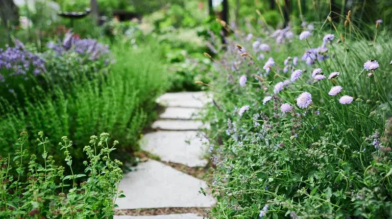Norwegians are going on vacation: How to make your garden survive