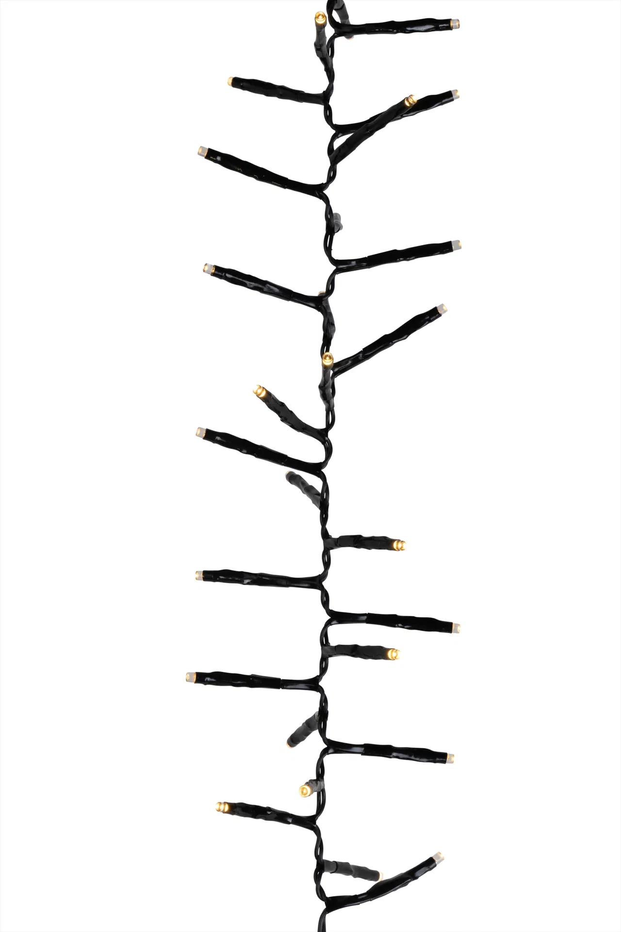 Light Chain Complete Cluster