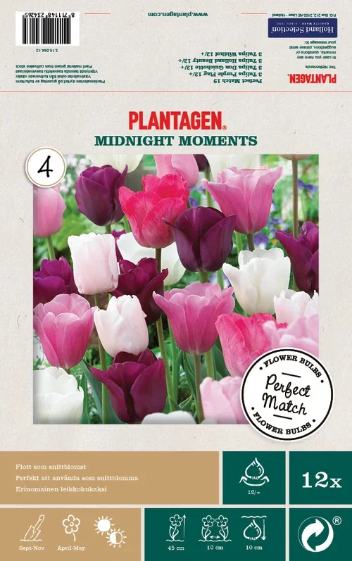 Tulipanmiks Midnight Moments - 12 stk