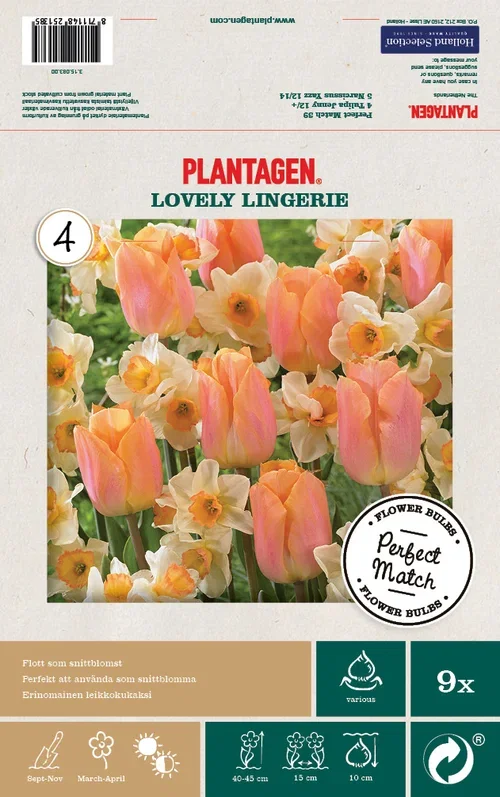 Løkmiks Tulipan/Narcissus Lovely Lingerie - 9 stk