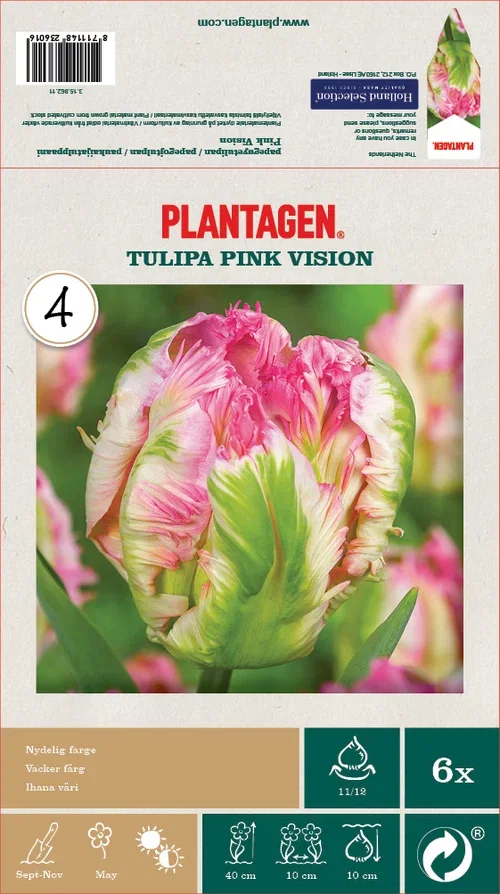 Papegøyetulipan 'Pink Vision' - 6 stk