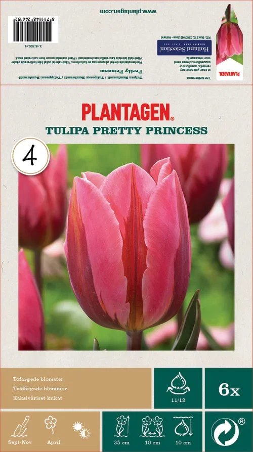 Tulipan 'Pretty Princess' - 6 stk