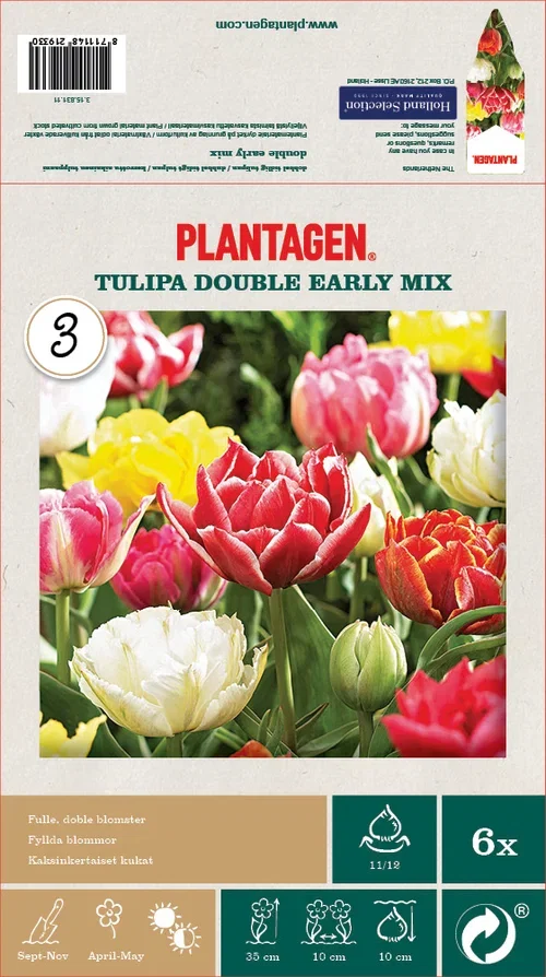 Fylte tulipaner miks - 6 stk