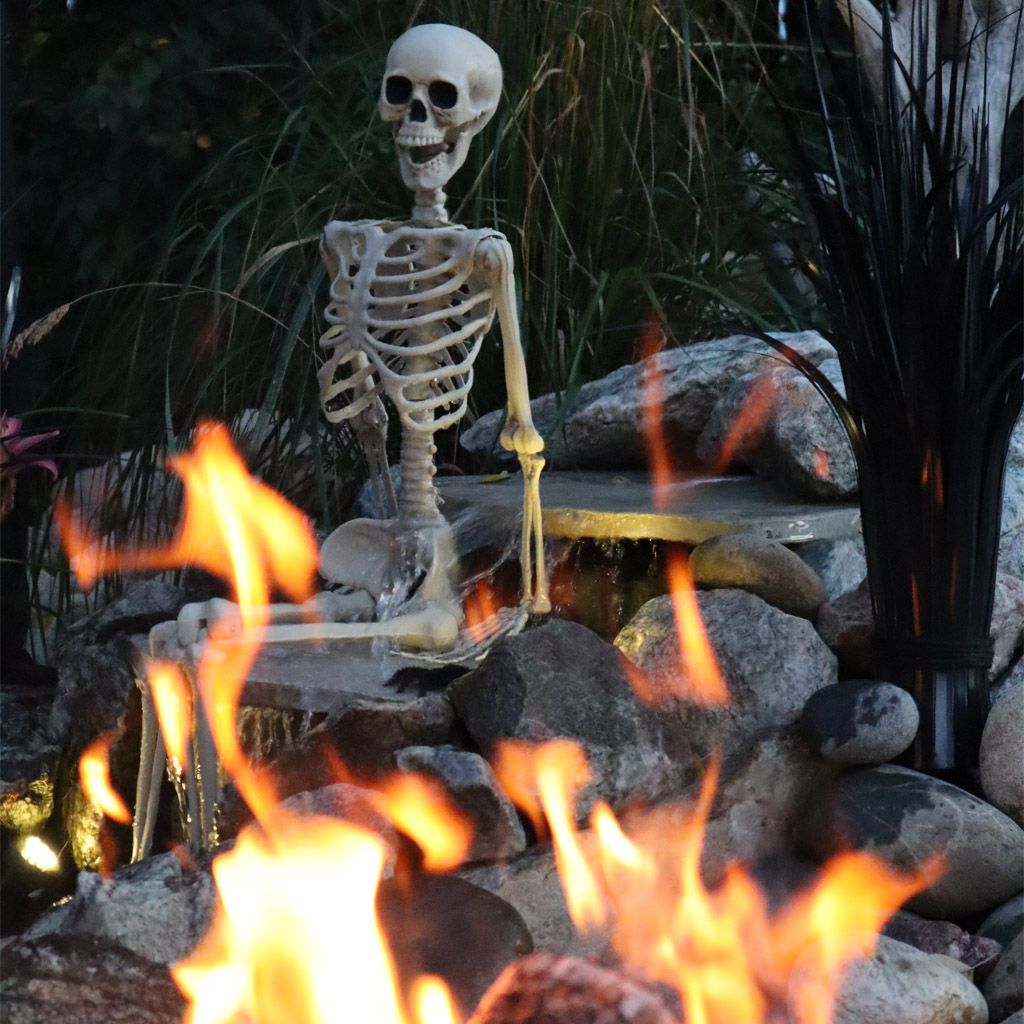 Image of Se all halloweendekor