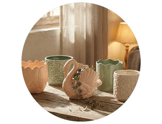 Image of Årets pottetrender