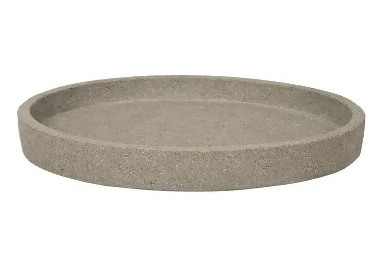 Saucer Nova