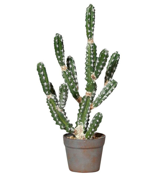 Kaktus kunstig Høyde 63 | cm Plantasjen Grønn